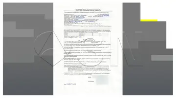 Declaración Marítima de Sanidad (DMS) Declaración Marítima de Sanidad (DMS)