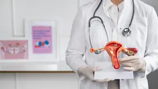 Doctor con un modelo anatómico del aparato reproductor femenino