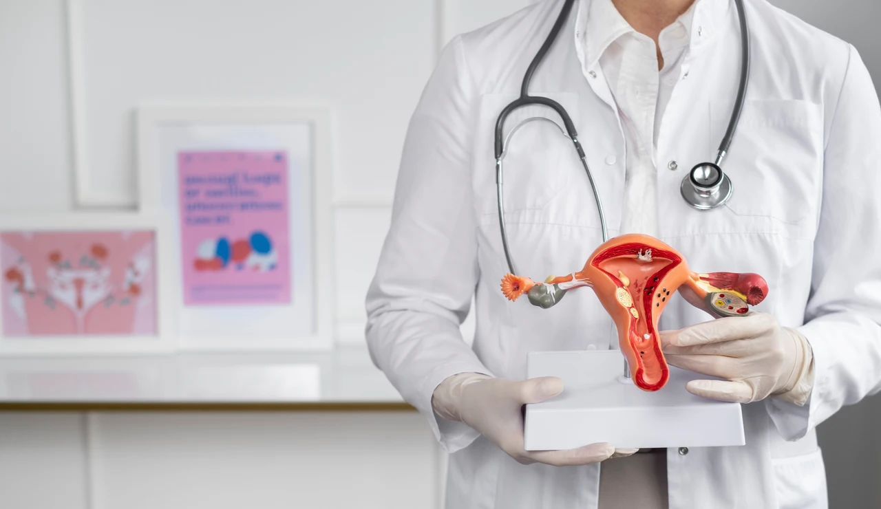 Doctor con un modelo anatómico del aparato reproductor femenino
