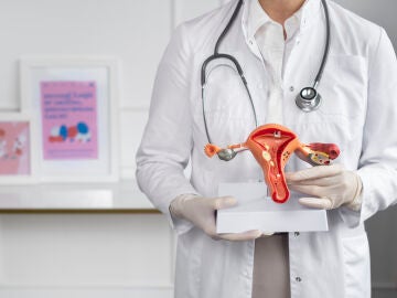 Doctor con un modelo anat&oacute;mico del aparato reproductor femenino