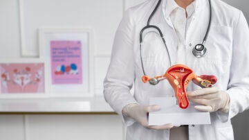 Doctor con un modelo anat&oacute;mico del aparato reproductor femenino