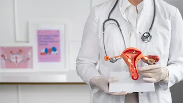 Doctor con un modelo anatómico del aparato reproductor femenino Doctor con un modelo anatómico del aparato reproductor femenino