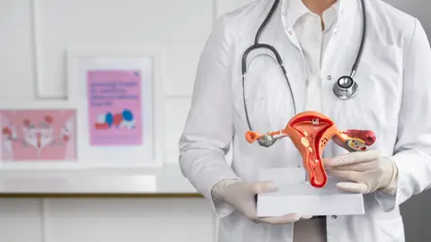 Doctor con un modelo anatómico del aparato reproductor femenino Doctor con un modelo anatómico del aparato reproductor femenino