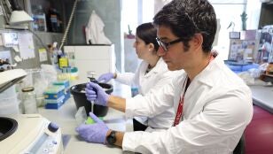 El equipo investigador en el laboratorio