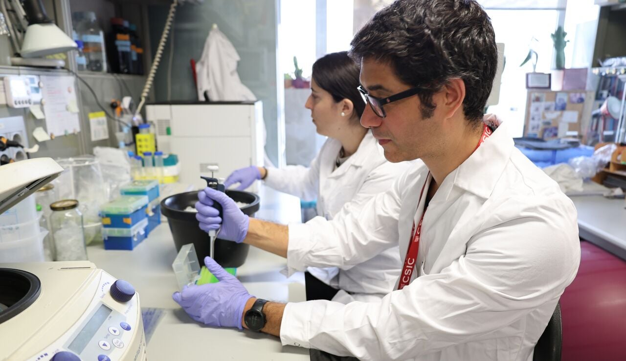 El equipo investigador en el laboratorio