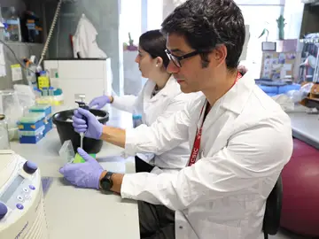 El equipo investigador en el laboratorio El equipo investigador en el laboratorio