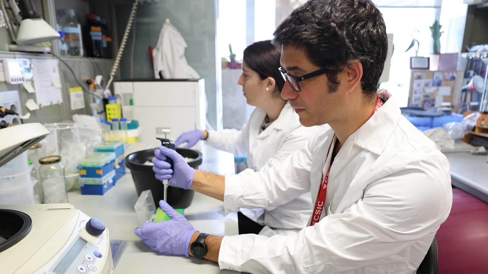 El equipo investigador en el laboratorio El equipo investigador en el laboratorio