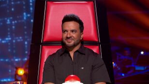 Luis Fonsi, La Voz Kids