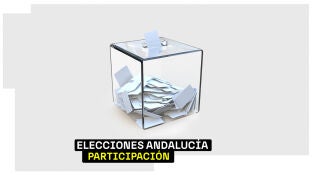 Participaci&oacute;n elecciones Andaluc&iacute;a