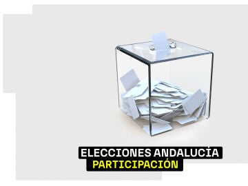 Participaci&oacute;n elecciones Andaluc&iacute;a