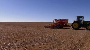 Campo