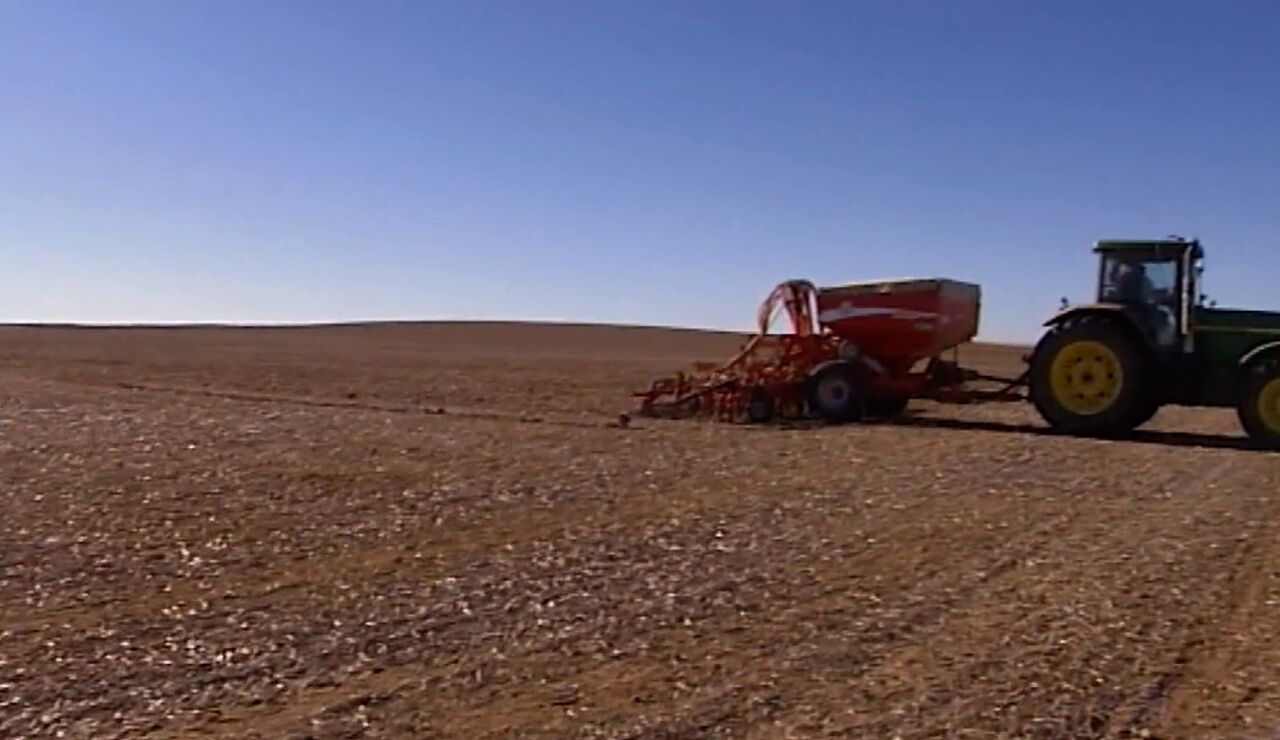 Campo