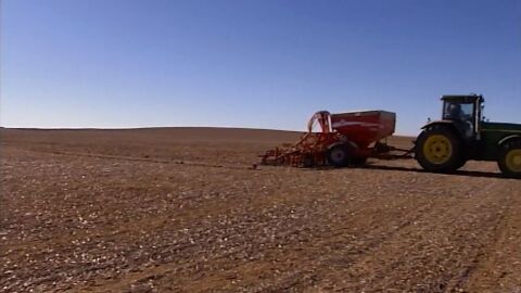 Campo