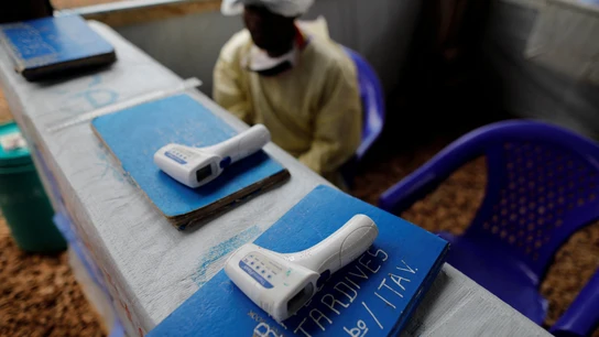 Las claves del brote de ébola en África, "una emergencia de salud pública de importancia internacional" Las claves del brote de ébola en África, "una emergencia de salud pública de importancia internacional"