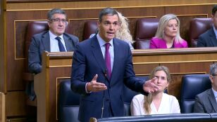 Pedro S&aacute;nchez, en el Congreso de los Diputados