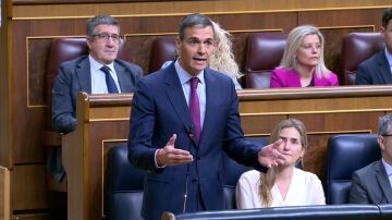 Pedro S&aacute;nchez, en el Congreso de los Diputados