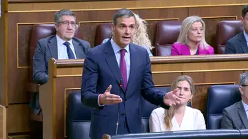 Pedro Sánchez, en el Congreso de los Diputados Pedro Sánchez, en el Congreso de los Diputados