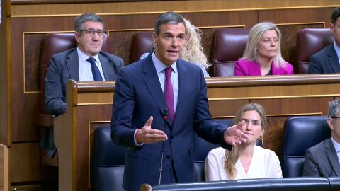 Pedro S&aacute;nchez, en el Congreso de los Diputados