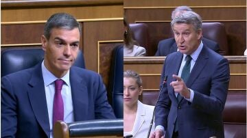 Feijoo y S&aacute;nchez en el Congreso