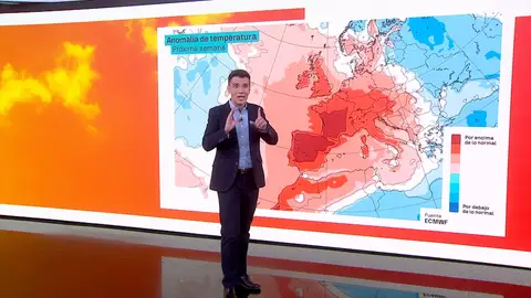 César Gonzalo César Gonzalo