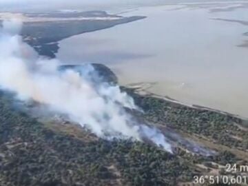 Junta desvincula los incendios en Almonte de la romer&iacute;a de El Roc&iacute;o y aprecia "posible intencionalidad"