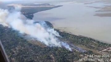 Junta desvincula los incendios en Almonte de la romer&iacute;a de El Roc&iacute;o y aprecia "posible intencionalidad"
