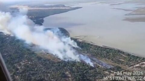 Junta desvincula los incendios en Almonte de la romer&iacute;a de El Roc&iacute;o y aprecia "posible intencionalidad"