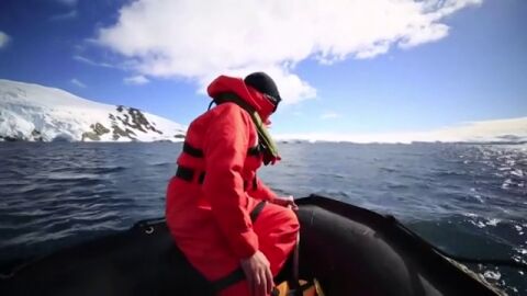 D&iacute;a Mundial de los oc&eacute;anos