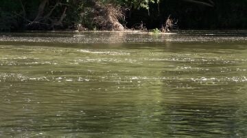 Lugar donde se produjo la tragedia que cost&oacute; la vida a una madre y su hija en la presa de Ba&ntilde;os de Cerrato