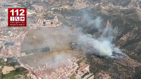 Varias viviendas desalojadas por un grave incendio forestal en Los Garres y Lages, Murcia