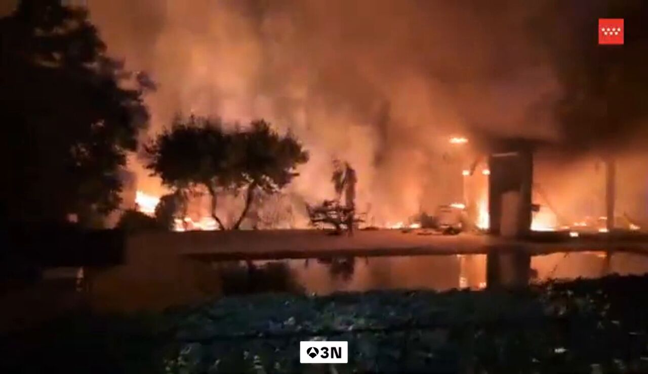 Madrid facilitar&aacute; la retirada de las ariz&oacute;nicas en los jardines por su alto riesgo de incendio