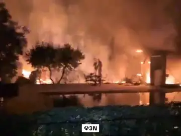 Madrid facilitará la retirada de las arizónicas en los jardines por su alto riesgo de incendio Madrid facilitará la retirada de las arizónicas en los jardines por su alto riesgo de incendio