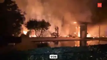 Madrid facilitará la retirada de las arizónicas en los jardines por su alto riesgo de incendio Madrid facilitará la retirada de las arizónicas en los jardines por su alto riesgo de incendio