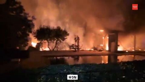 Madrid facilitar&aacute; la retirada de las ariz&oacute;nicas en los jardines por su alto riesgo de incendio