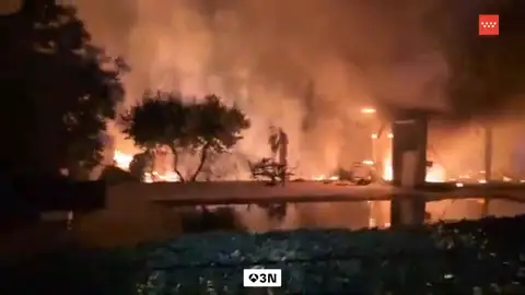 Madrid facilitará la retirada de las arizónicas en los jardines por su alto riesgo de incendio Madrid facilitará la retirada de las arizónicas en los jardines por su alto riesgo de incendio