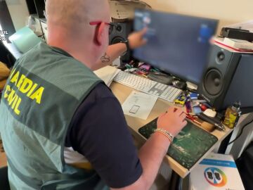Detenido en C&aacute;diz un hombre por posesi&oacute;n de pornograf&iacute;a infantil con beb&eacute;s