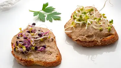 Paté de setas, de Karlos Arguiñano: un aperitivo 100% natural, rico y fácil de preparar Paté de setas, de Karlos Arguiñano: un aperitivo 100% natural, rico y fácil de preparar