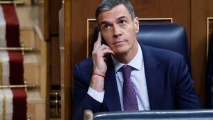 Imagen del presidente del Gobierno, Pedro S&aacute;nchez