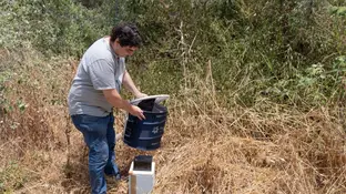 La Junta activa 120 trampas para el seguimiento y control del virus del Nilo en Andalucía La Junta activa 120 trampas para el seguimiento y control del virus del Nilo en Andalucía