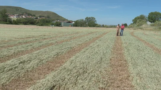La inflación amenaza la cesta de la compra: agricultores y ganaderos pagan 41 millones más a la semana por producir La inflación amenaza la cesta de la compra: agricultores y ganaderos pagan 41 millones más a la semana por producir