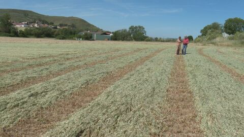 La inflaci&oacute;n amenaza la cesta de la compra: agricultores y ganaderos pagan 41 millones m&aacute;s a la semana por producir