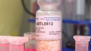 F&aacute;rmaco contra el c&aacute;ncer infantil