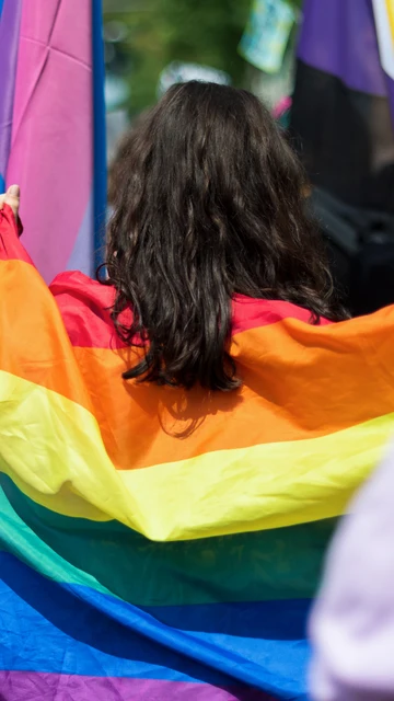 Desfile del Orgullo LGTBI Desfile del Orgullo LGTBI