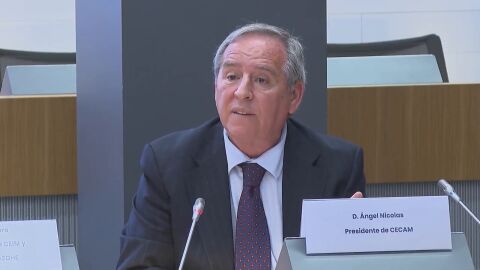 &Aacute;ngel Nicol&aacute;s, presidente de CECAM