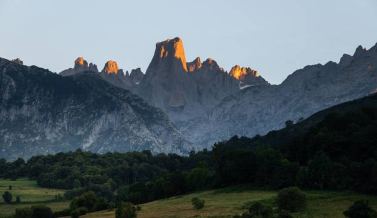 Del orde&ntilde;o a la cueva: as&iacute; nace el sabor intenso del Cabrales