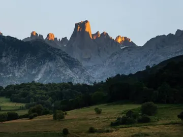 Del ordeño a la cueva: así nace el sabor intenso del Cabrales Del ordeño a la cueva: así nace el sabor intenso del Cabrales