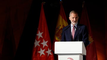 Imagen del rey Felipe VI 