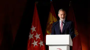 Imagen del rey Felipe VI Imagen del rey Felipe VI