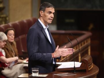 Pedro S&aacute;nchez dando explicaciones en el Congreso