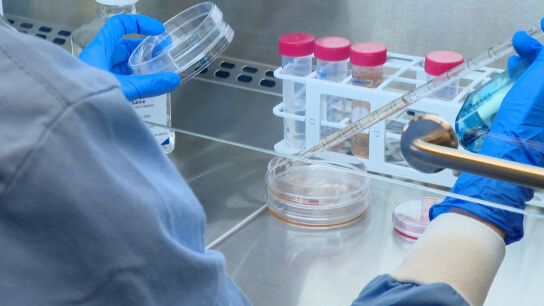 Investigadores
